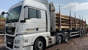 Holztransporte und Holztransportfahrzeuge